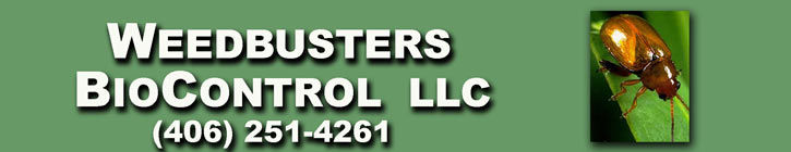 Weedbusters Biocontrol LLC